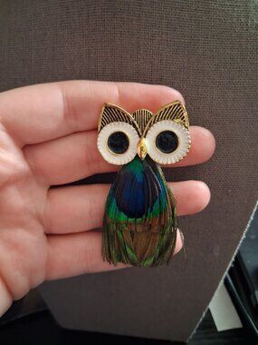 Unique Owl brooch